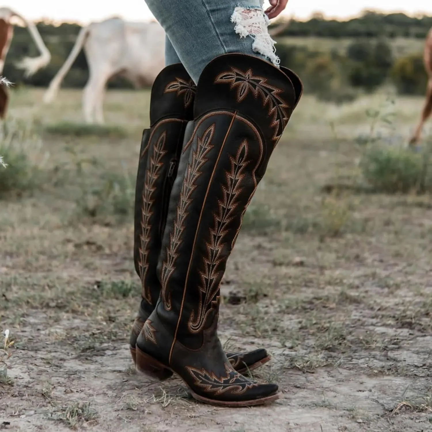 olomisa Over the Knee Cowboy Boots for Women Embroidery Cowgirl Boots Chunky Heel Side Zipper Boots Thigh High Western Boots